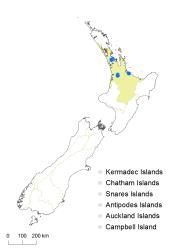 Selaginella moellendorffii distribution map based on databased records at AK, CHR & WELT.
 Image: K. Boardman © Landcare Research 2017 CC BY 3.0 NZ